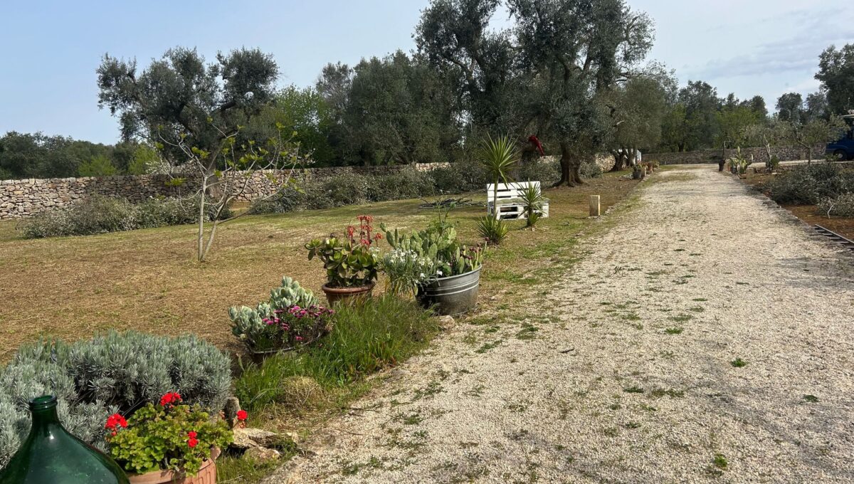 WhatsApp Image 2025-04-10 at 16.15.27