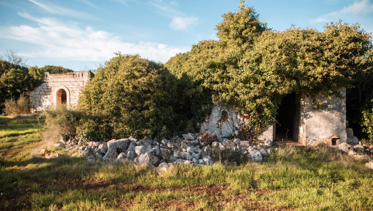 WhatsApp Image 2025-05-12 at 13.39.33(1)