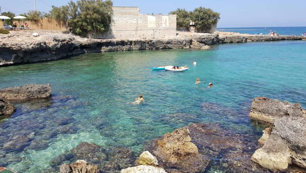 ce013136-7a16-4264-9539-34a4c2dbd560