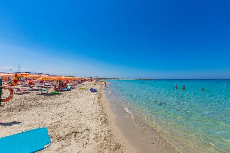 f6209755-844b-43a1-962f-6dd3e605a30a