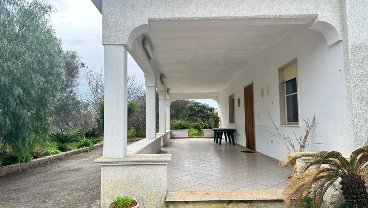 WhatsApp Image 2026-02-11 at 12.00.30