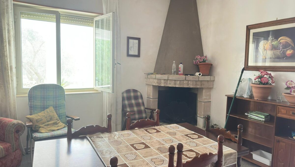 WhatsApp Image 2026-02-11 at 12.02.02