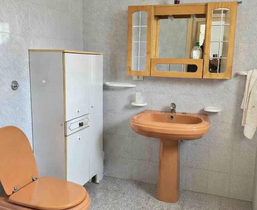 WhatsApp Image 2026-02-13 at 18.30.33