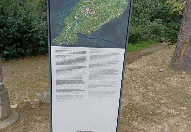 Passeios sócios - Aveiro