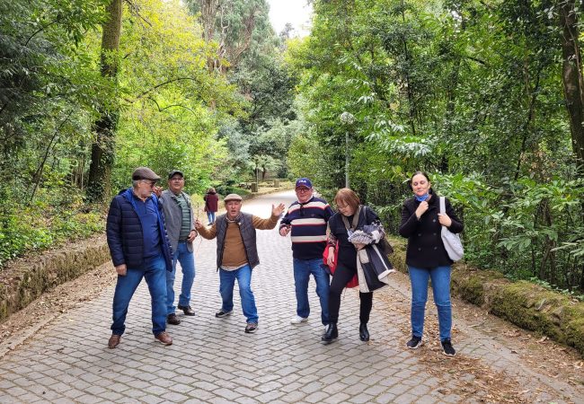 Passeios sócios - Aveiro
