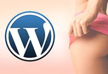 免费两栏wordpress主题 简约清爽的双栏Qui-Pure模板-楚狂人