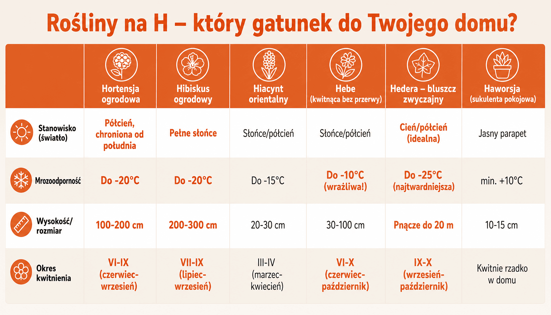 Porównanie 6 roślin na H: hortensja, hibiskus, hiacynt, hebe, hedera, haworsja – stanowisko, mrozoodporność, wysokość