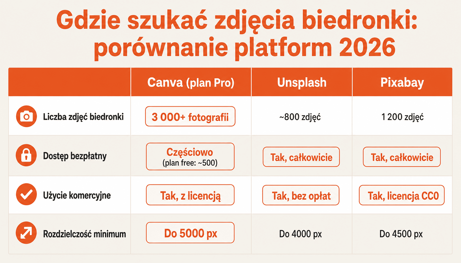 Porównanie platform stockowych do pobrania zdjęcia biedronki: Canva, Unsplash, Pixabay - liczba zdjęć, dostęp bezpłatny, użycie komercyjne