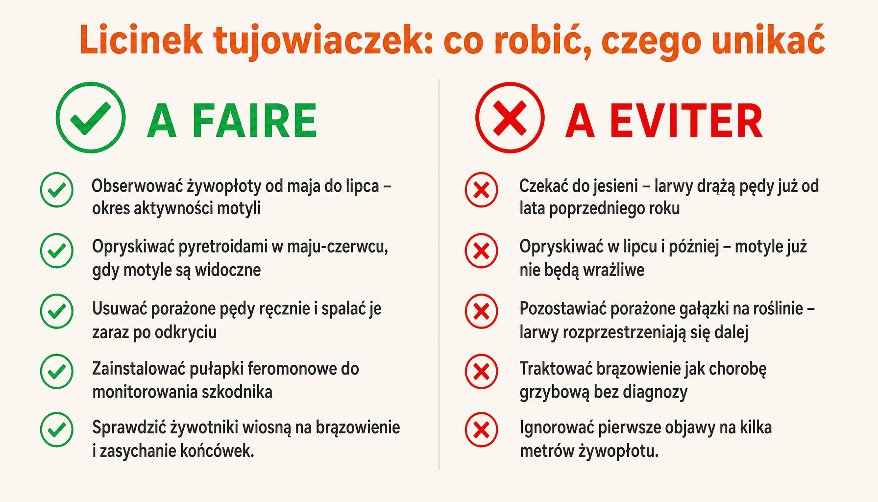 Infografika: jak zwalczać licinka tujowiaczka na żywotnikach i cisach – do zrobienia i błędy do uniknięcia