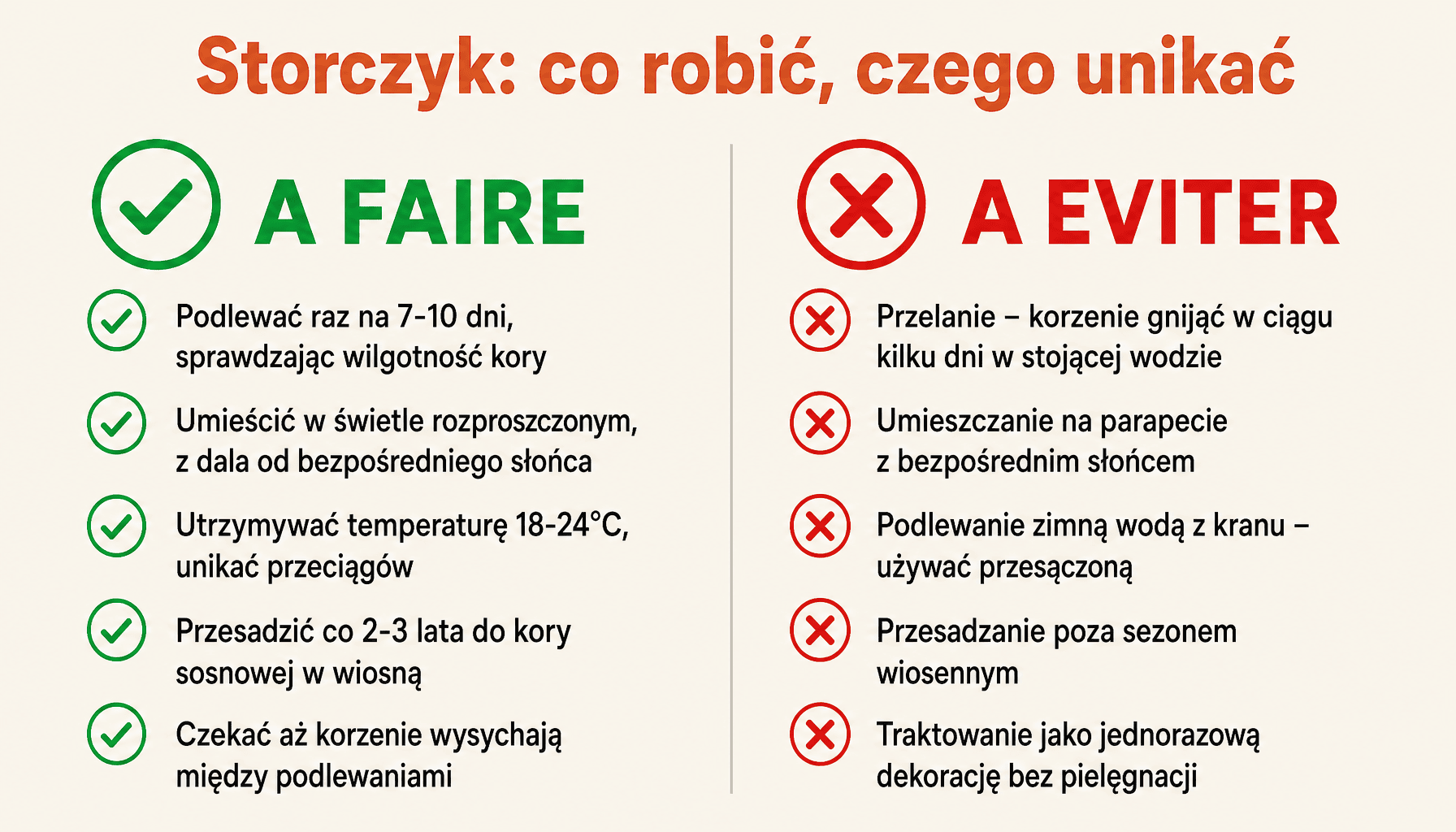 Infografika: błędy i dobre praktyki w uprawie storczyka w domu