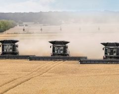 3 Fendt Ideal's in the field