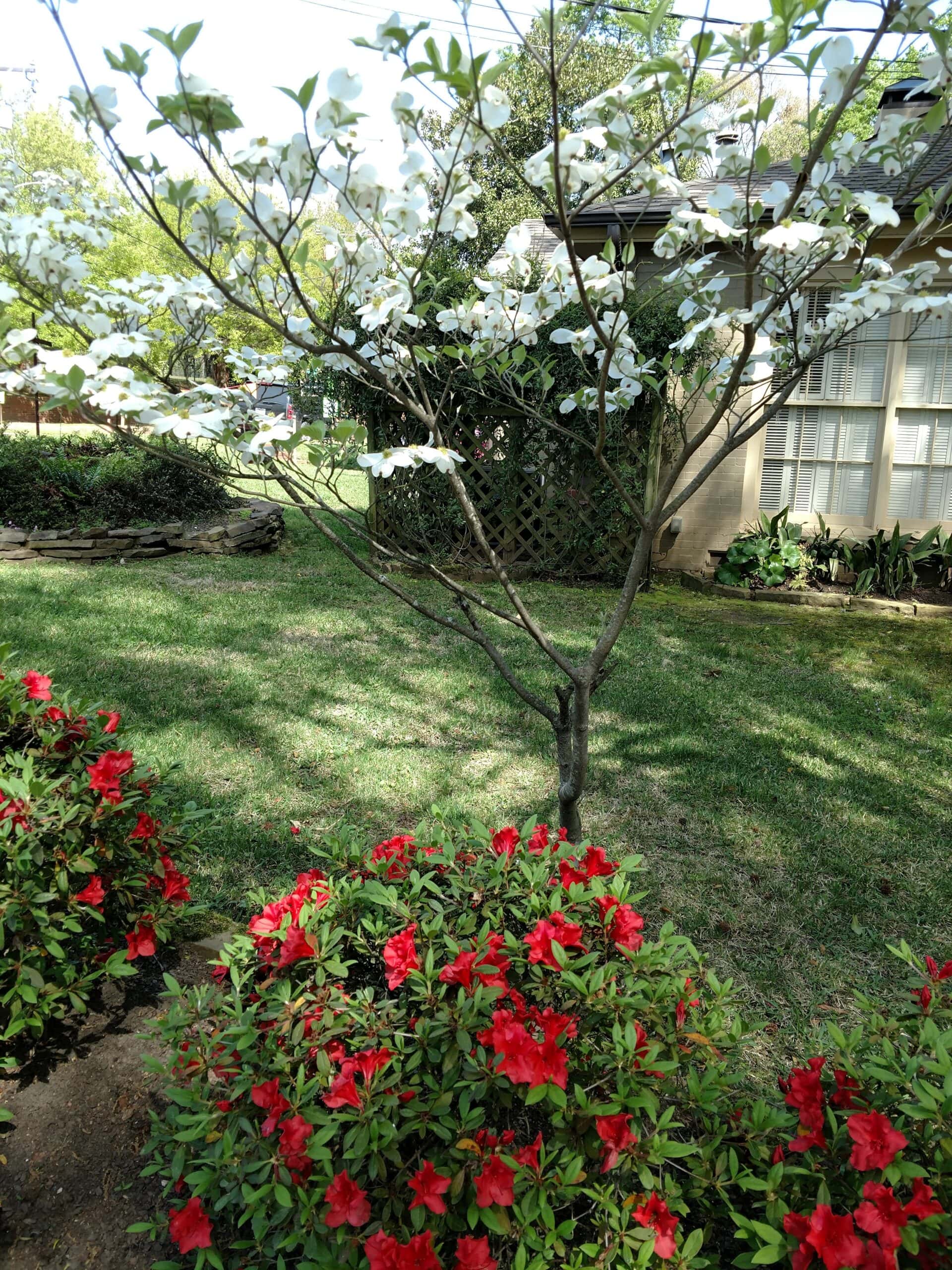 Property management in Chandler, Texas
