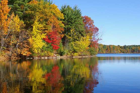 Walden pond Walden pond