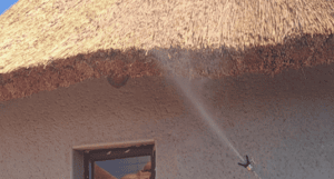 FG6