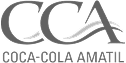CCA logo
