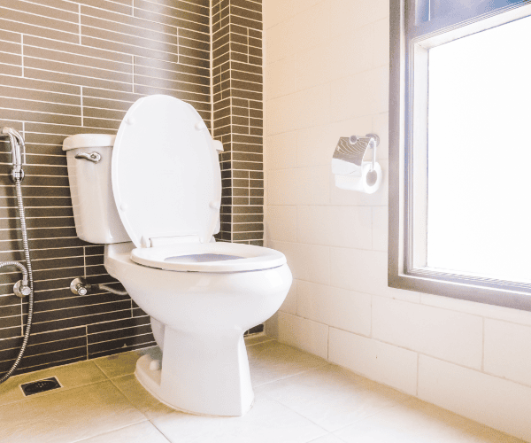 wc sanibroyeur dans la salle de bain