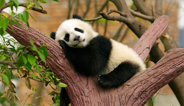 30 Remarkable Health Benefits of Sleep (Backed up by Science)