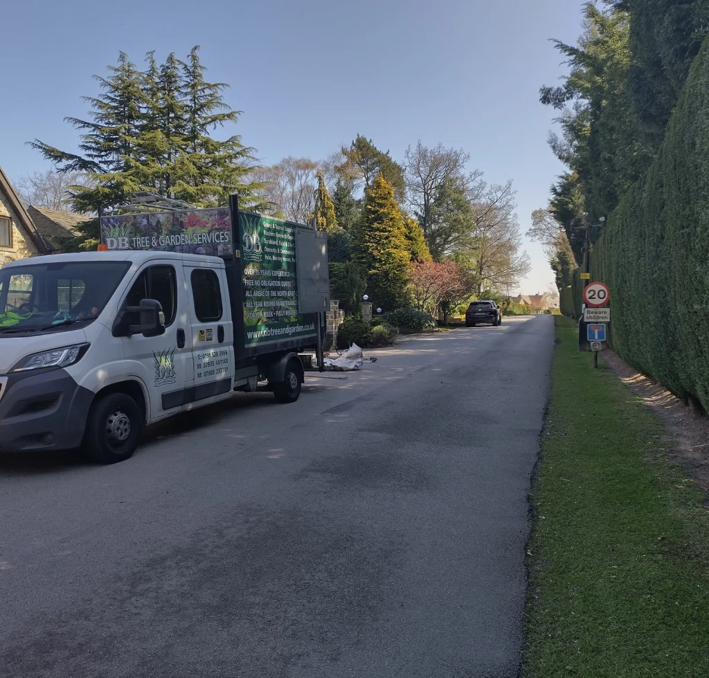 IMG_20250410_114252_HDR_result