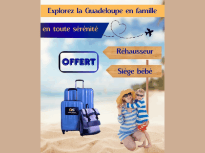 DS Cars RENTAL - Fiat Panda (ou similaire)
