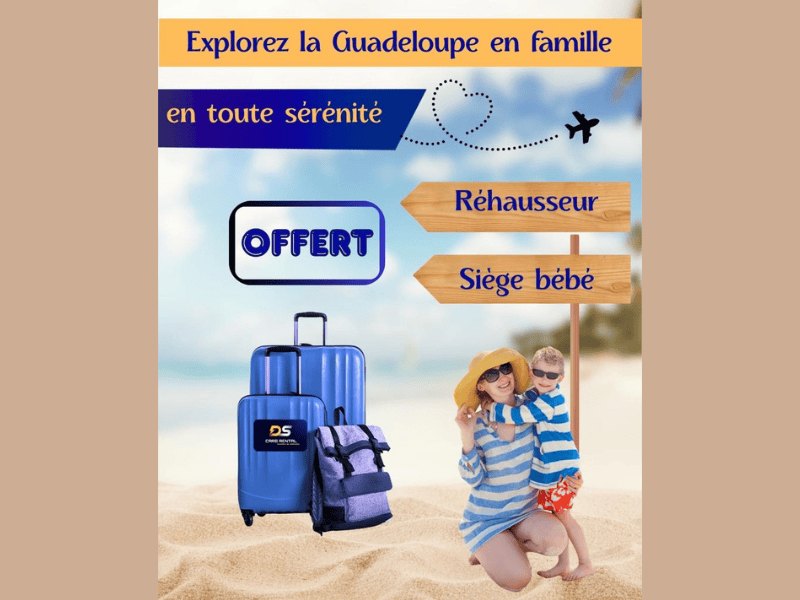 DS Cars RENTAL - Fiat Panda (ou similaire)