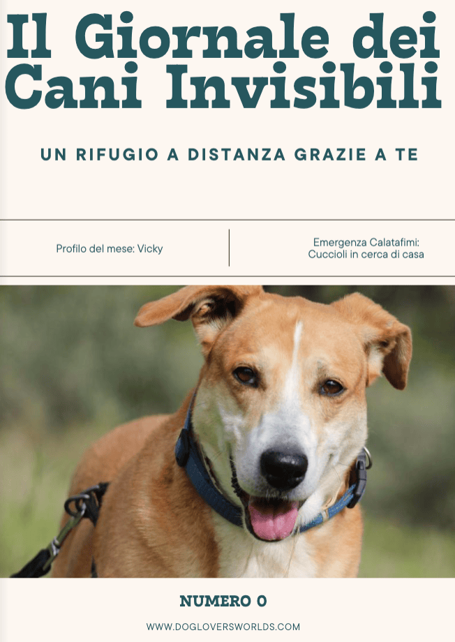 Copertina Numero Zero