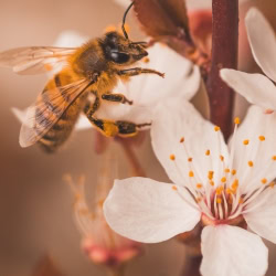 Spring Employment Law Update