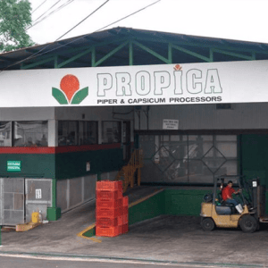PROPICA esencial