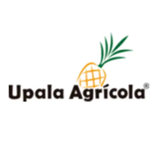 Logo14