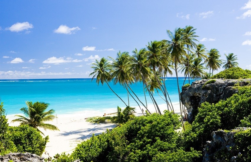 Bottom Bay in Barbados with white sand, turquoise water and tall palm trees under a bright blue sky.