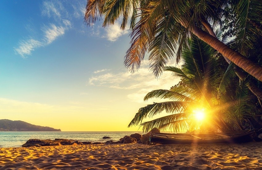 UAE City & Best of Thailand