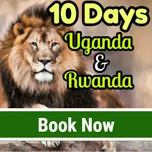 10 Days Rwanda and Uganda Tour