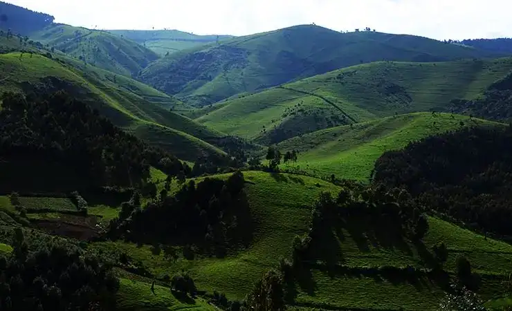 Landscape in Rwanda