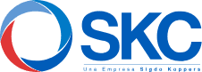 logo-skc-2020-01-13-153533-2020-05-06-170906.jpeg_2020-06-11-210122
