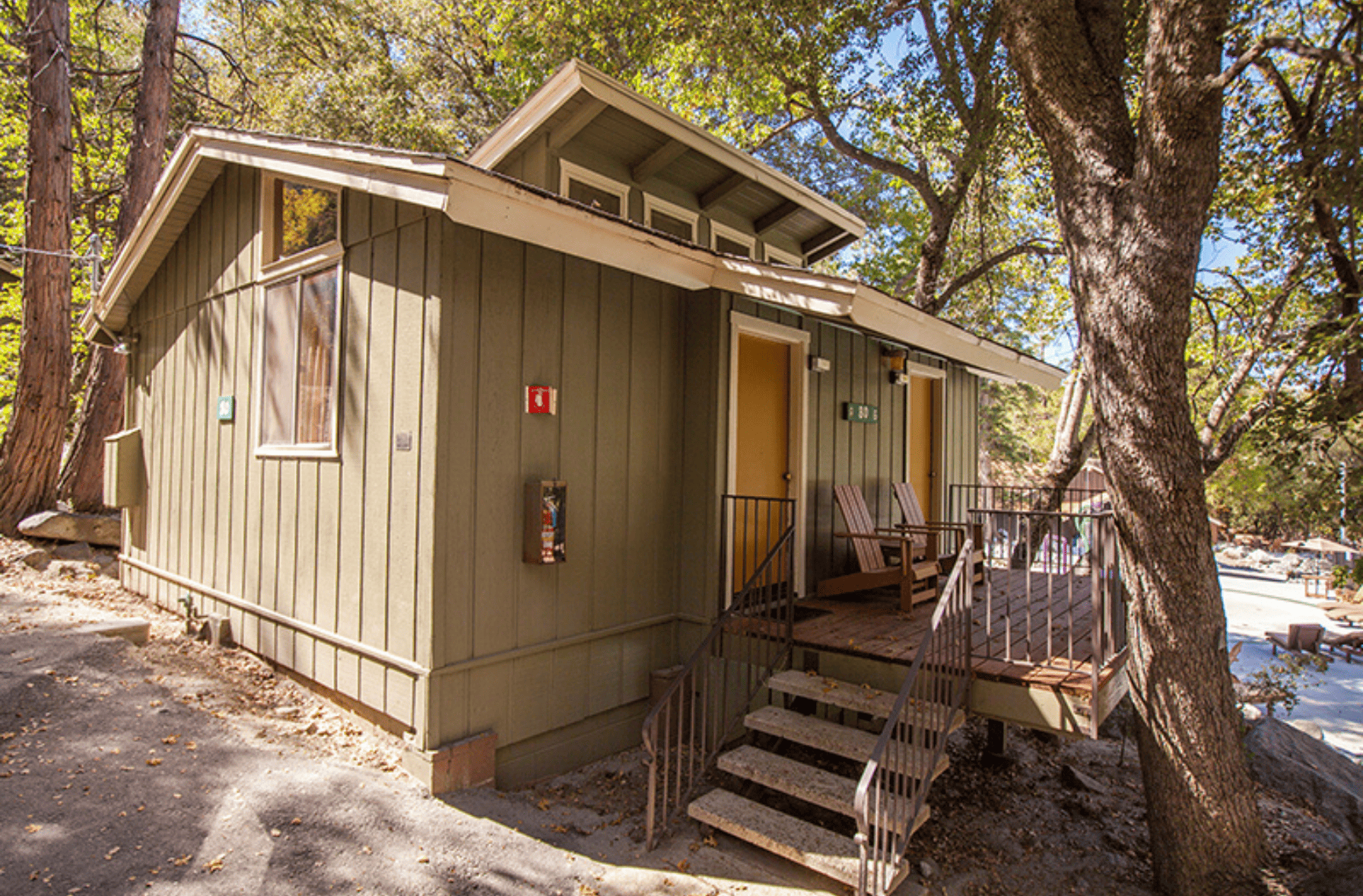 Cabin with two doors and green siding
