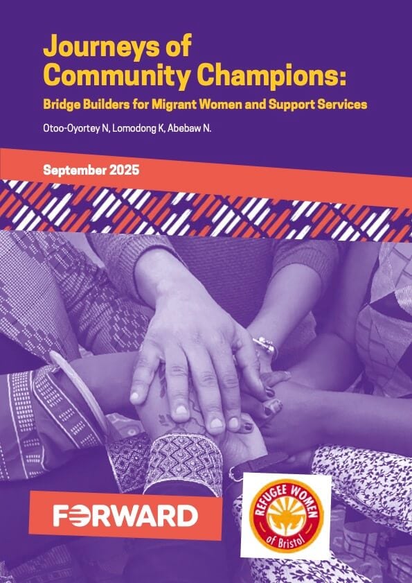 Journeys of Community Champions