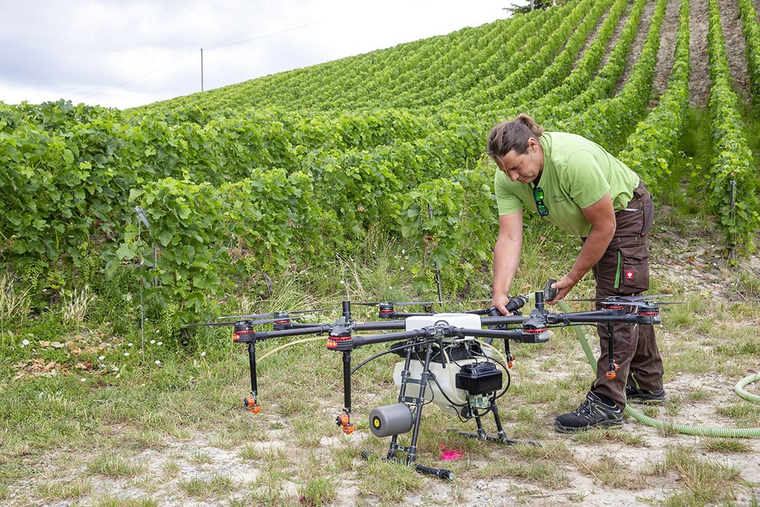 With the ability to apply targeted applications autonomously and with pin-point accuracy, drones are ideal for vines, fruit, specialist row-crops and orchards.  - Photo: EPA