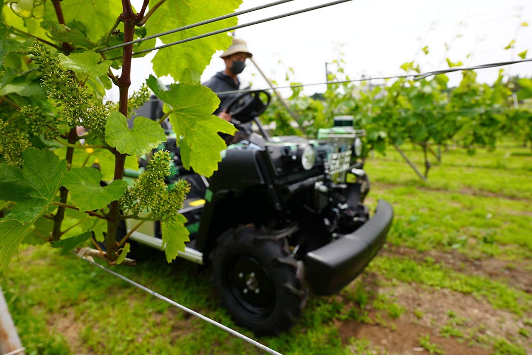 A Yamaha prototype vehicle in development in a Japanese vineyard for testing. For safety reasons, an operator is watching over the prototype. - Photo: Yamaha