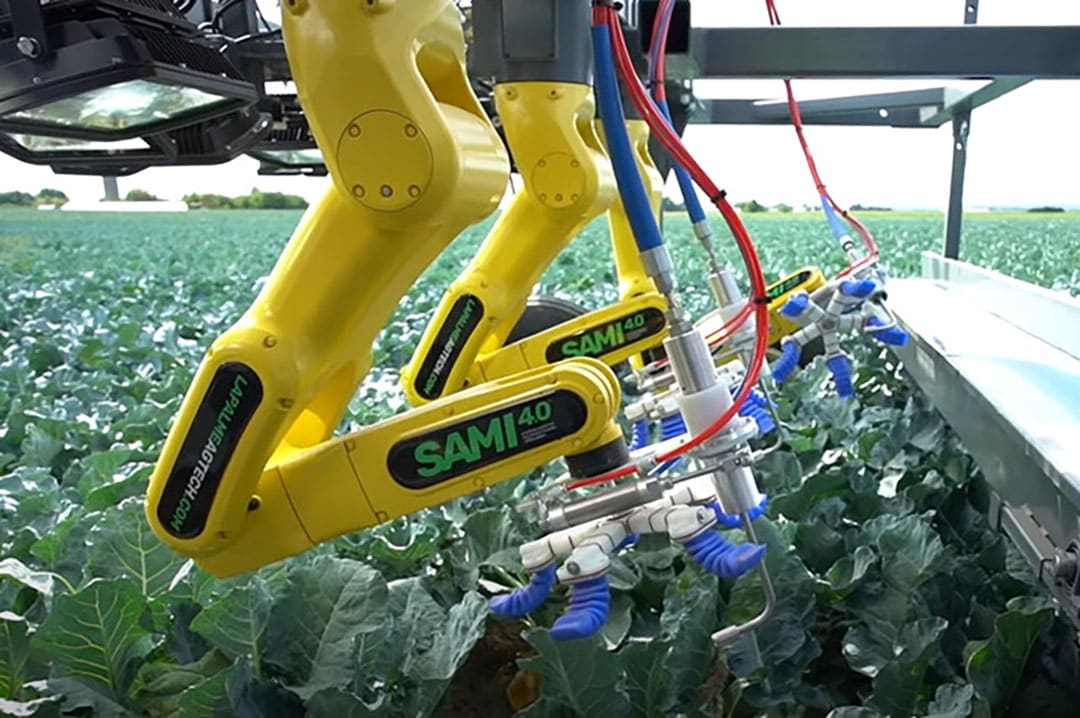 Lapalme Agtech brings its SAMI 4.0 robotic broccoli head harvester to the market. With 20 robotic arms it harvests one broccoli head every 3 seconds at € 0.03 (US $ 0.04) per head. - Photo: Lapalme Agtech