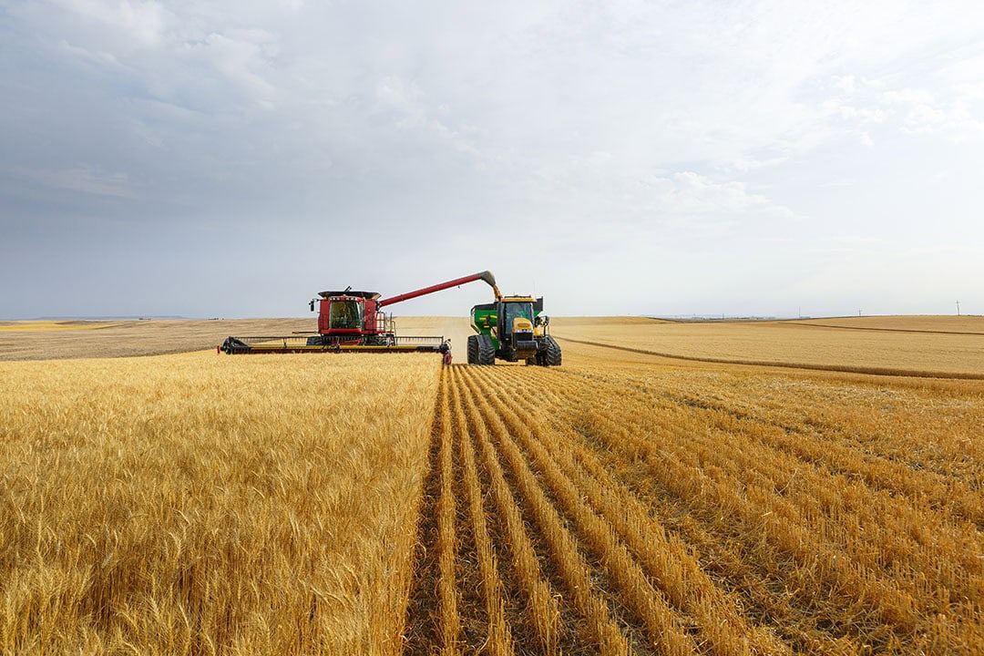 By using GPS technology to provide farmers with a more spatially precise understanding of tractor operations, machine guidance systems and accompanying correction services underpin successful data-led agriculture and are putting farms on the path to increased productivity and higher yields. - Photo: Topcon Agriculture