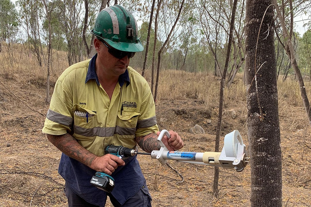 The need for personal protective equipment is minimal and depends on the requirements. A first-time user might need safety glasses, or others might need gloves when injecting a large population of woody weeds, says Amelia Limbongan. - Photo: Amelia Limbongan, University of Queensland