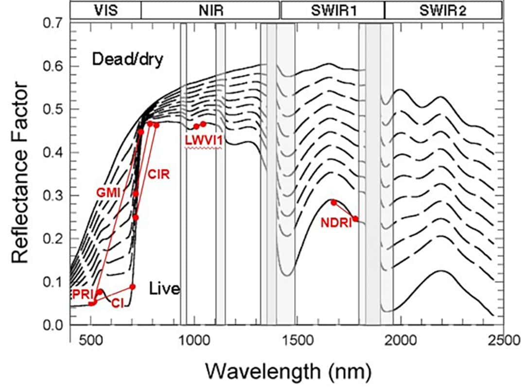 Figure 3: A selection of hyperspectral indices and the portions of the spectrum they exploit. Photochemical Reflectance Index (PRI), Chlorophyll Index (CI), Gitelson & Merzlyak Index (GMI), Red-Edge Adjusted Chlorophyll Index (CIR), Leaf Water Vegetation Index (LWVI1), and Normalized DIfference Residual Index (NDRI). NOTE: Atmospheric absorption bands are greyed out.