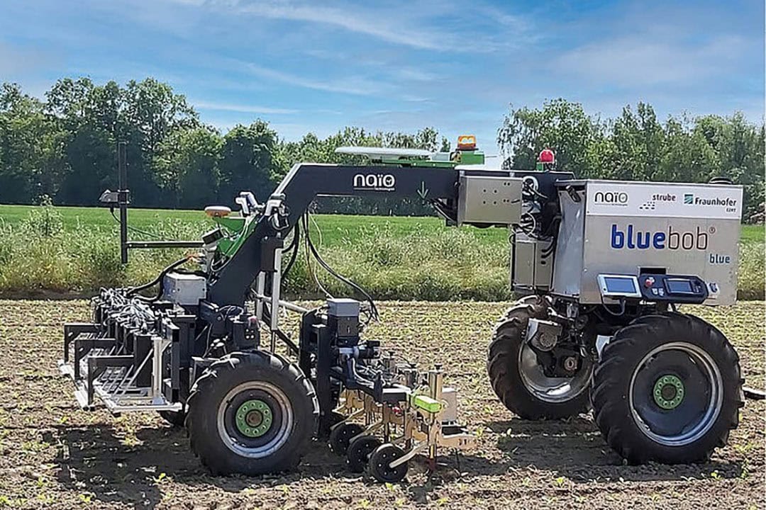 Orio is the result of Naïo’s cooperation with German seed breeding company Strube. Their BlueBob 2.0 is equipped with Naïo navigation technology and Strube/Fraunhofer technology for sugar beet detection. - Photo: Strube