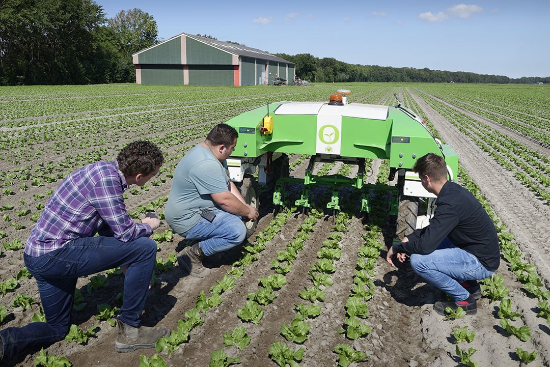 Field robot pioneer Naïo Technologies recently turned 10 years of age and announced the certification of autonomous, unsupervised work with each of its 4 types of farm robots for 2022. - Photo: Lex Salverda