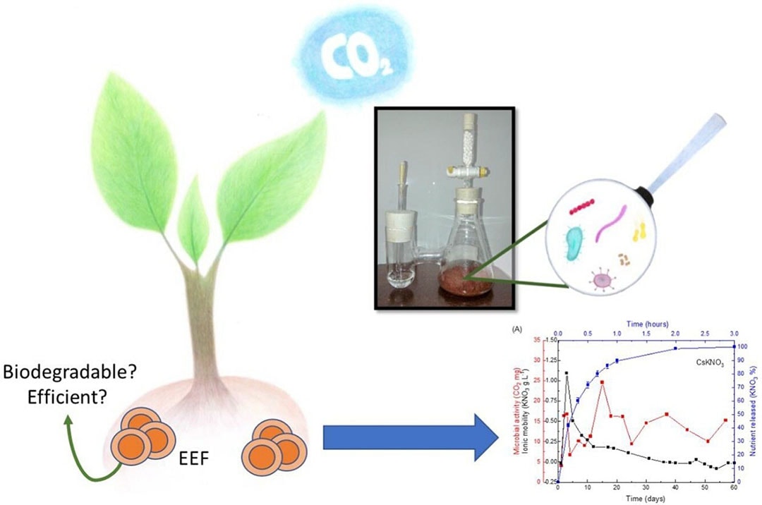 Encapsulation of KNO3 nutrient by chitosan and clay using spray drying technique. - Image from Report: Biodegradation and viability of chitosan-based microencapsulated fertilizers