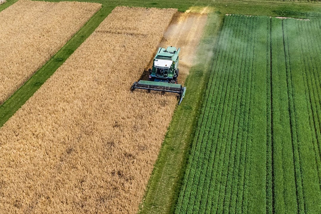 Harvesting during the field trials for Controlled Row Farming. - Photo: Amazone