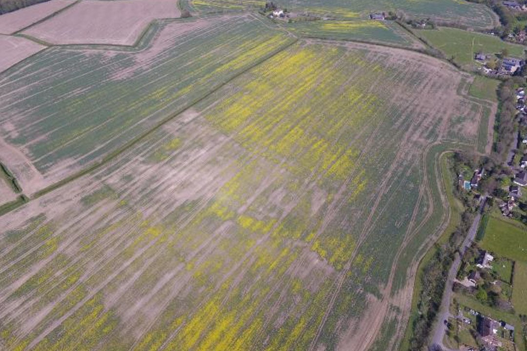 There are often huge variations in crops. Targeted treatments can significantly reduce the use of chemicals compared with overall ‘blanket’ applications. - Photo: Syngenta