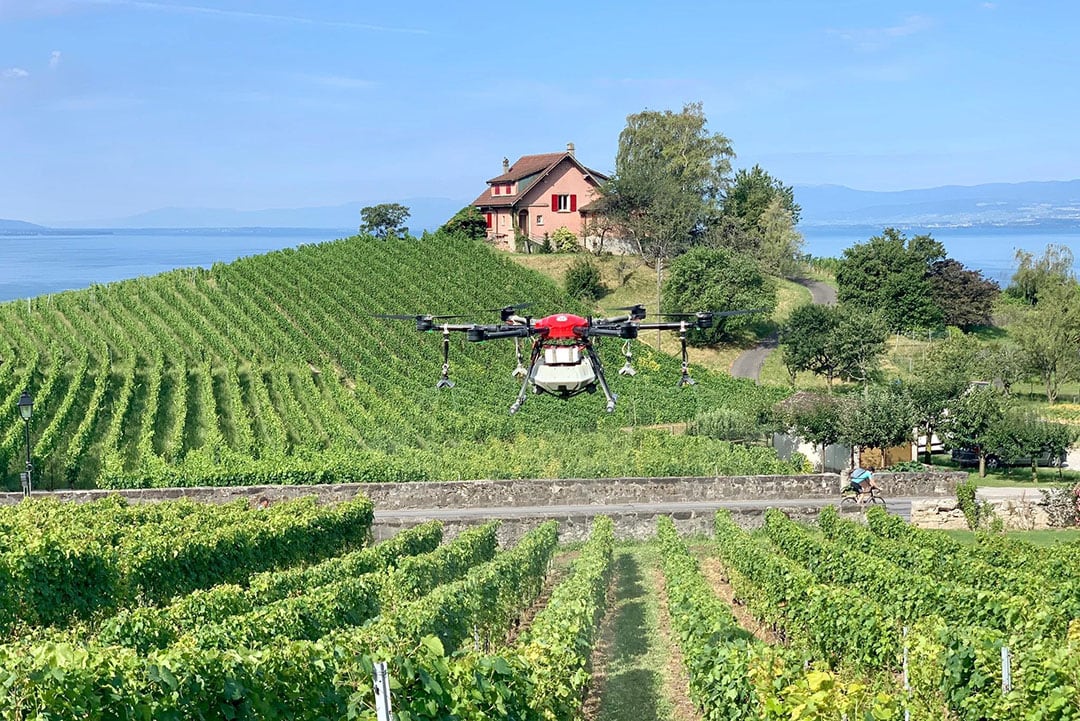 Drone applications are not permitted in Europe, except for vineyards in Switzerland. Trials show spray distribution can be erratic. - Photo: Aero21