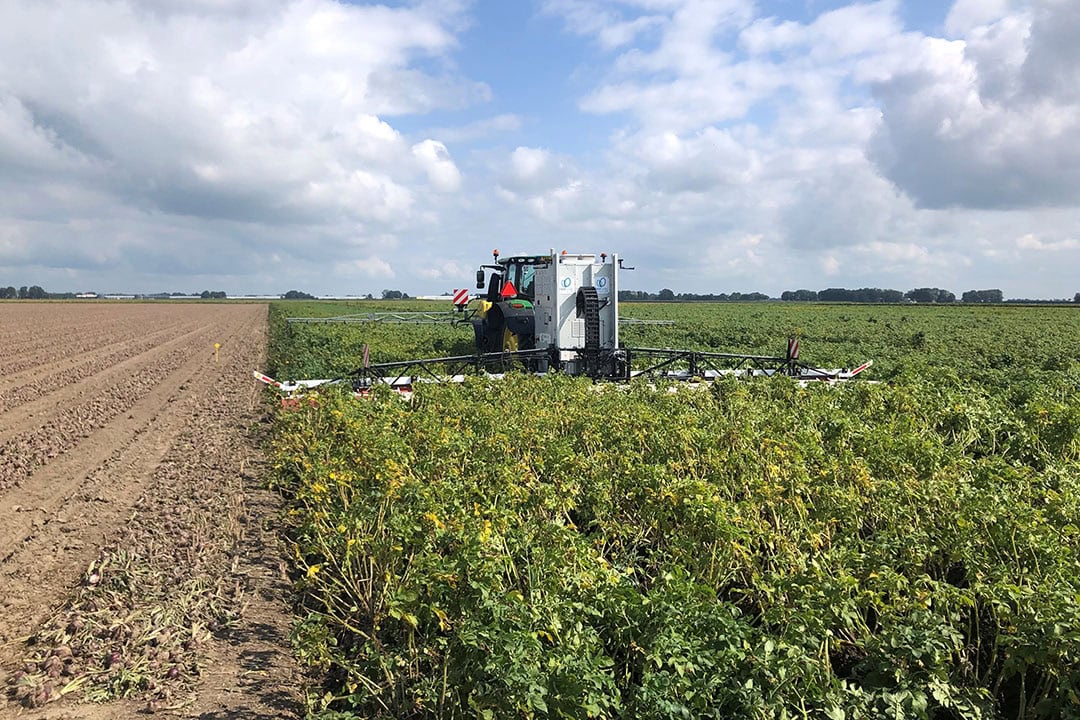 Electrical current, delivered by Nucrop, destroys the vascular bundles and cells in leaves, causing potato haulm to start to wilt immediately after the pass. - Photo: Nucrop