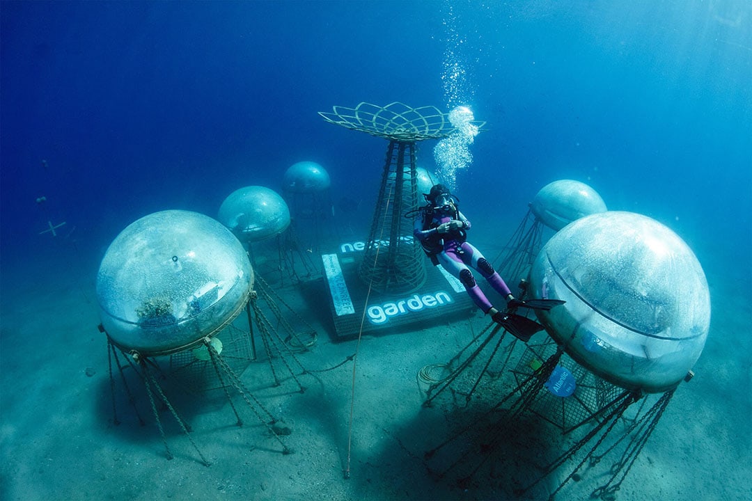 Nemo’s Garden’s biospheres are a unique type of underwater greenhouse, able to harness the positive environmental factors of the ocean to create an environment ideal for crop cultivation. - Photo: OceanReefGroup