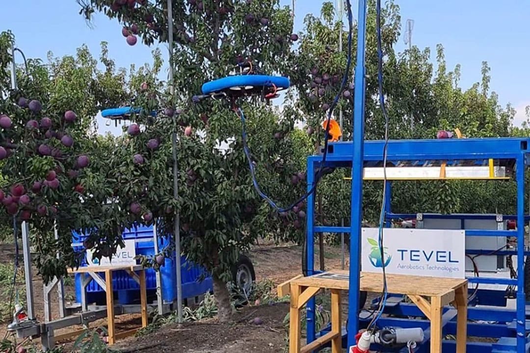 The Tevel robots are commercially available as a service of picking on a multiyear plan, and from the third quarter of 2023 they will be commercially available for purchasing.